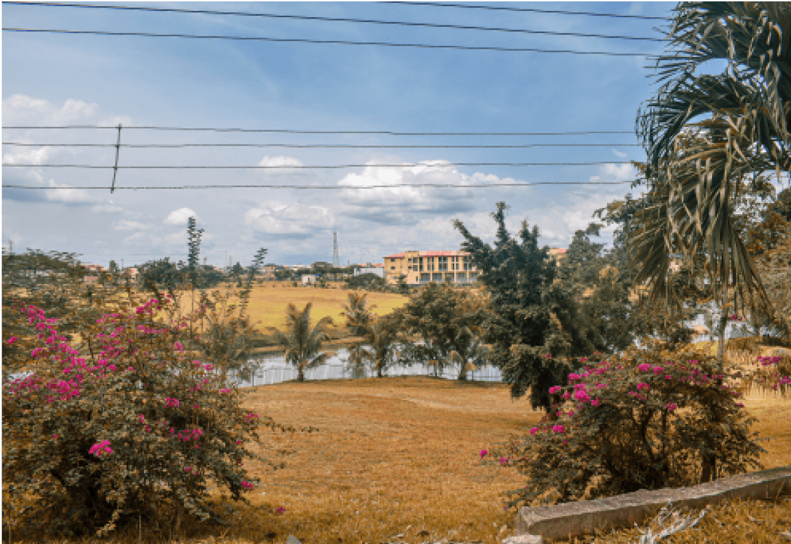 Mountain Top University Scenery